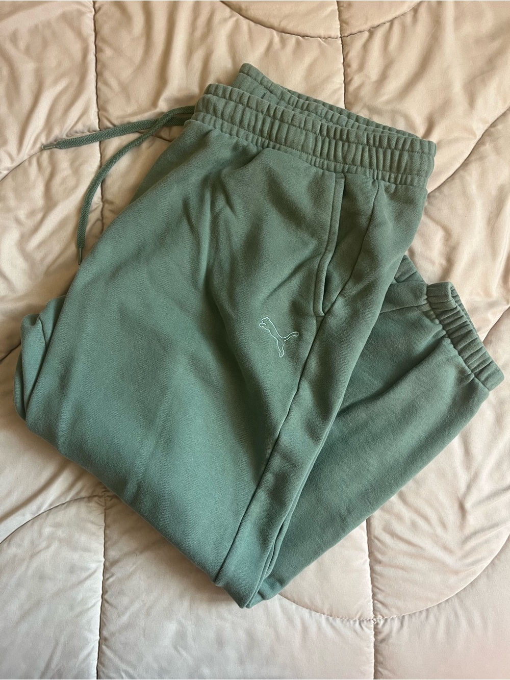 PUMA Fleece Jogger Pants
Womens XXL Sage Green Gym
Training Workout Athletic